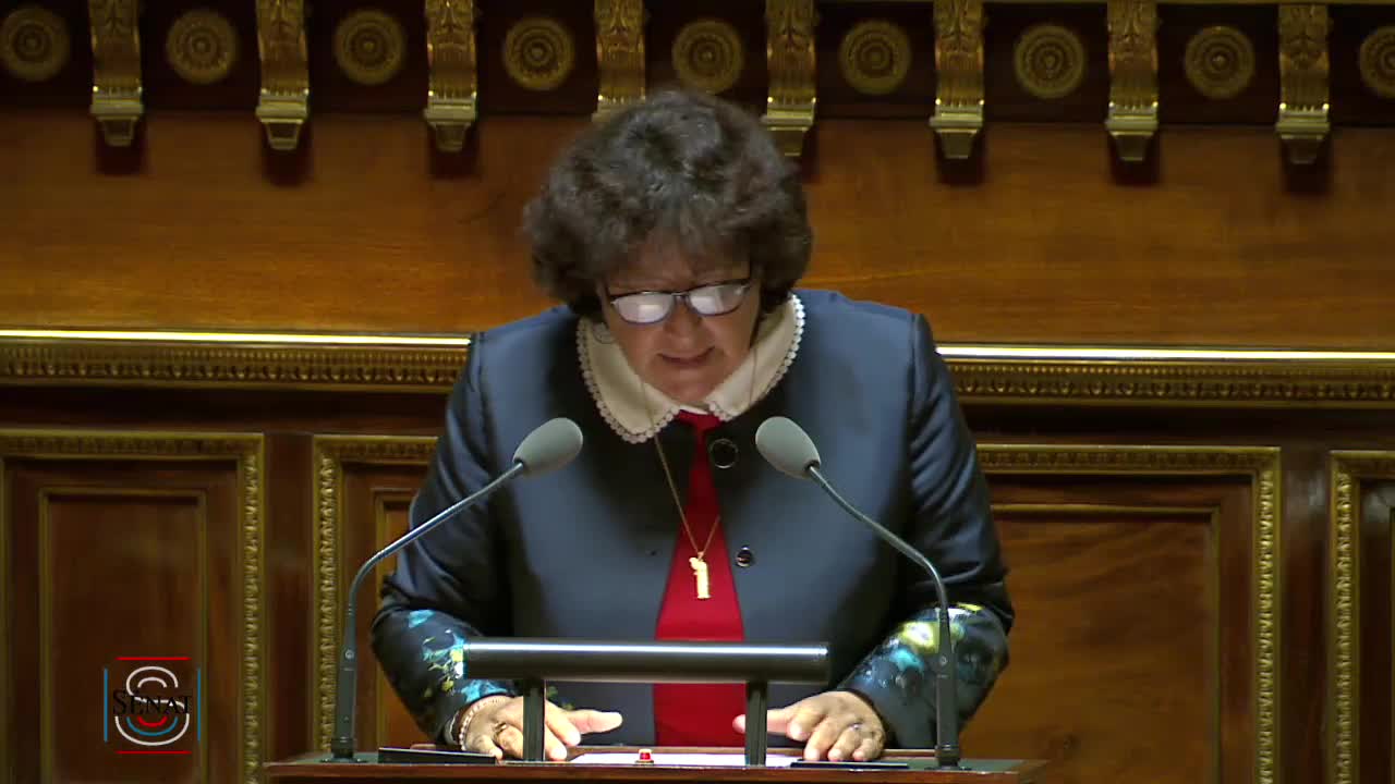 Séance publique du 23 janvier 2019 (après-midi)