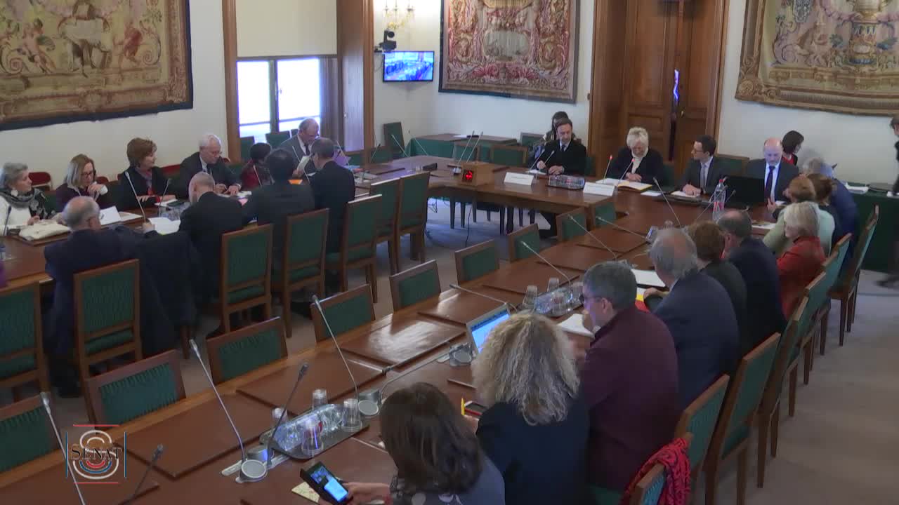 Mission sur le patrimoine - Audition de M. Stéphane Bern