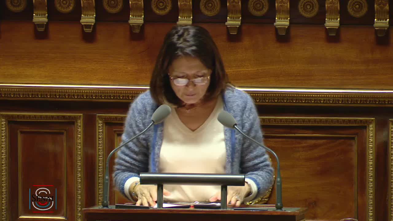 Séance publique du 29 janvier 2019 (après-midi)