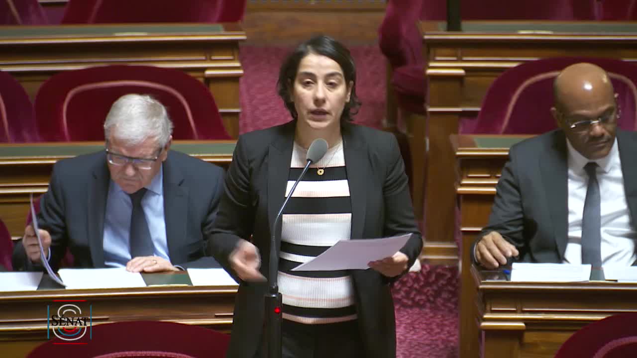Séance publique du 31 janvier 2019 (matin)