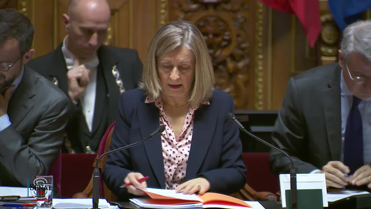 Séance publique du 31 janvier 2019 (matin)