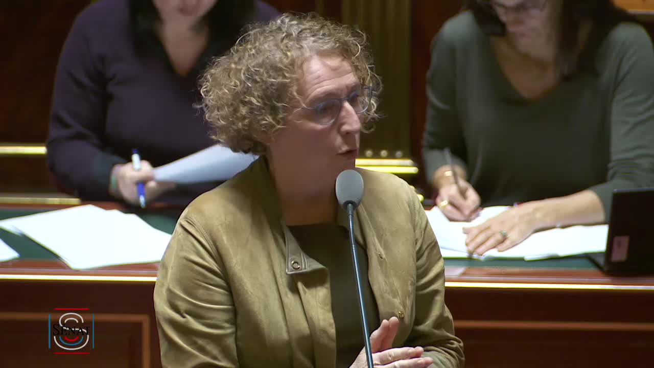 Séance publique du 31 janvier 2019 (après-midi)