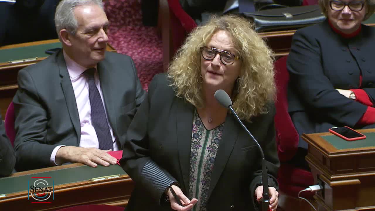 Séance publique du 31 janvier 2019 (après-midi)