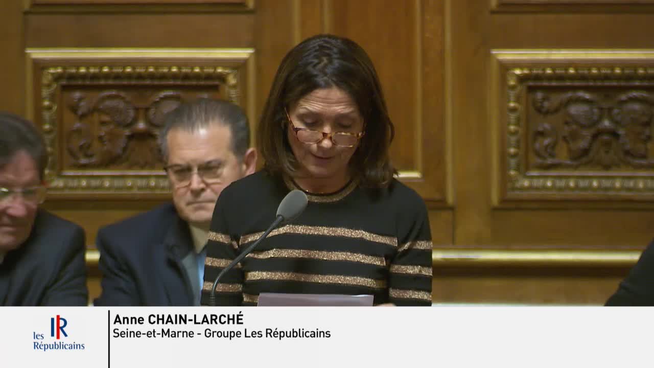 Séance publique du 31 janvier 2019 (après-midi)