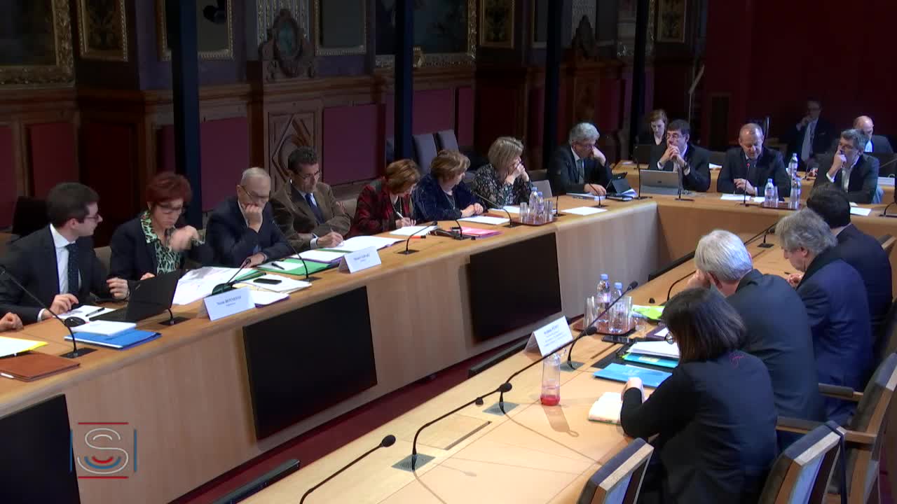MI Climat, auditions de M. Stéphane Pénet, et de M. Jean Merlet-Bonnan