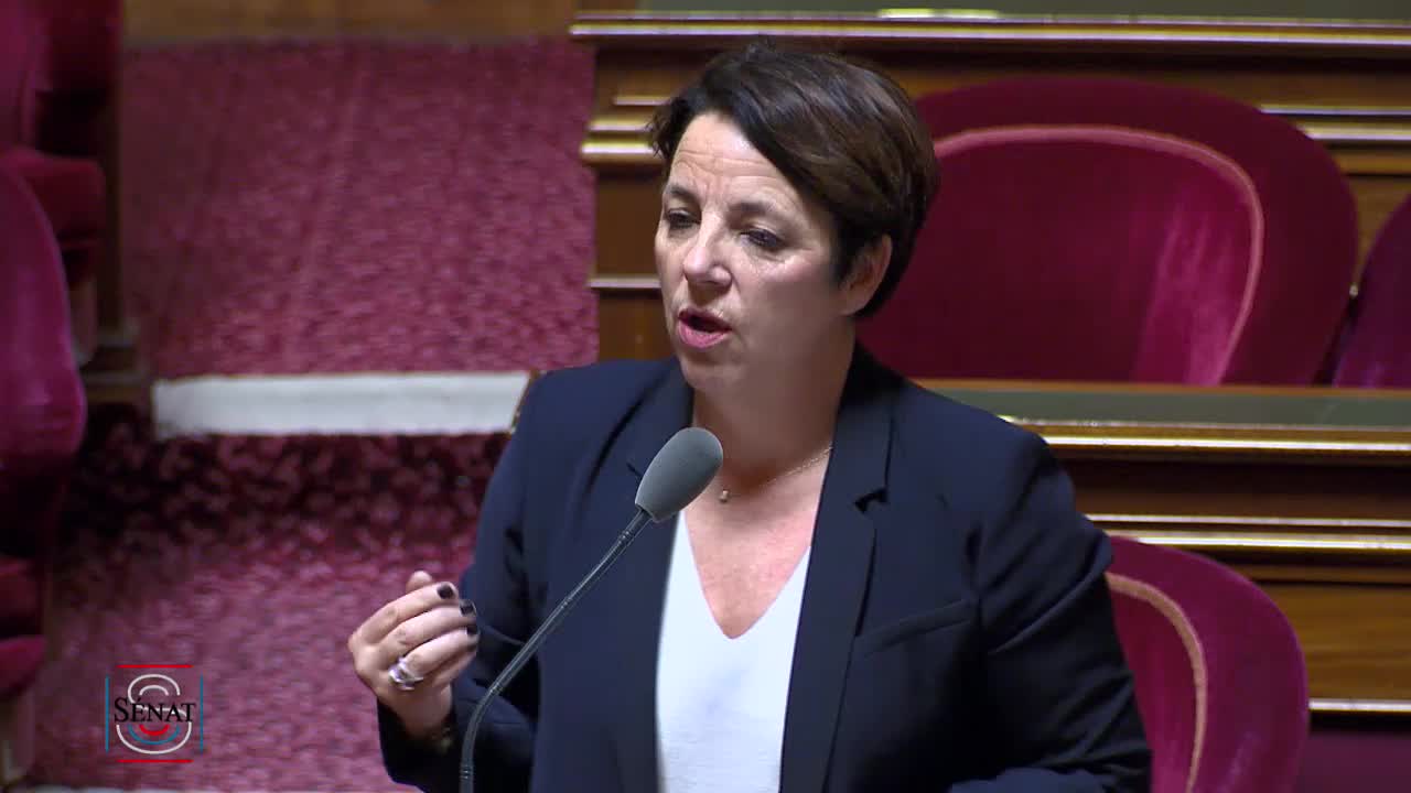 Séance publique du 12 février 2019 (matin)