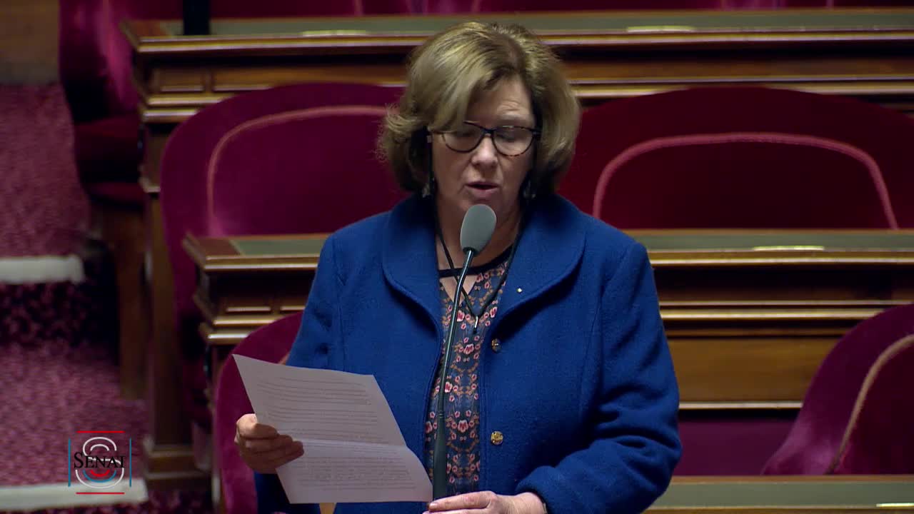 Séance publique du 12 février 2019 (matin)