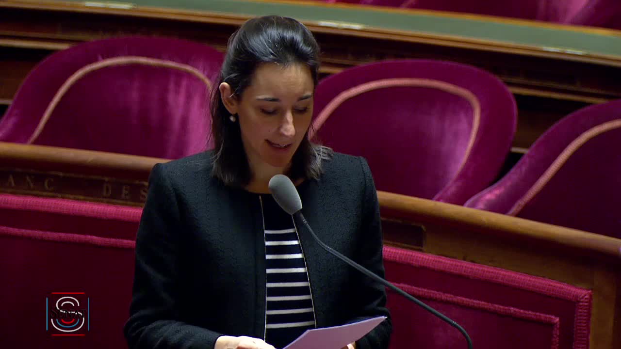 Séance publique du 12 février 2019 (matin)