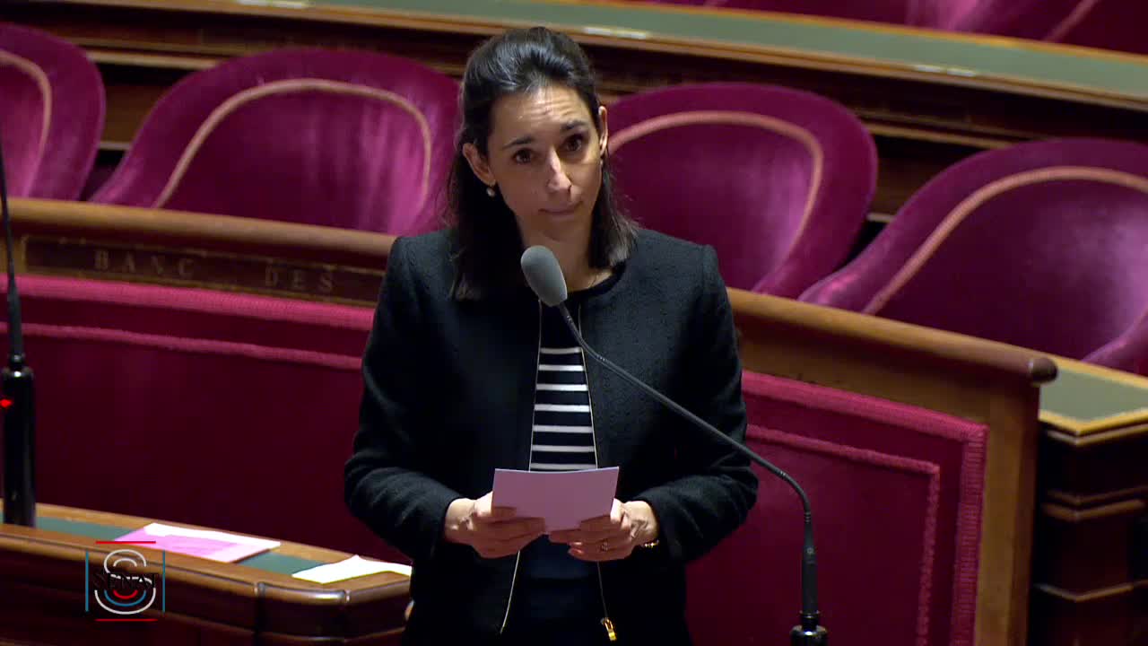 Séance publique du 12 février 2019 (matin)