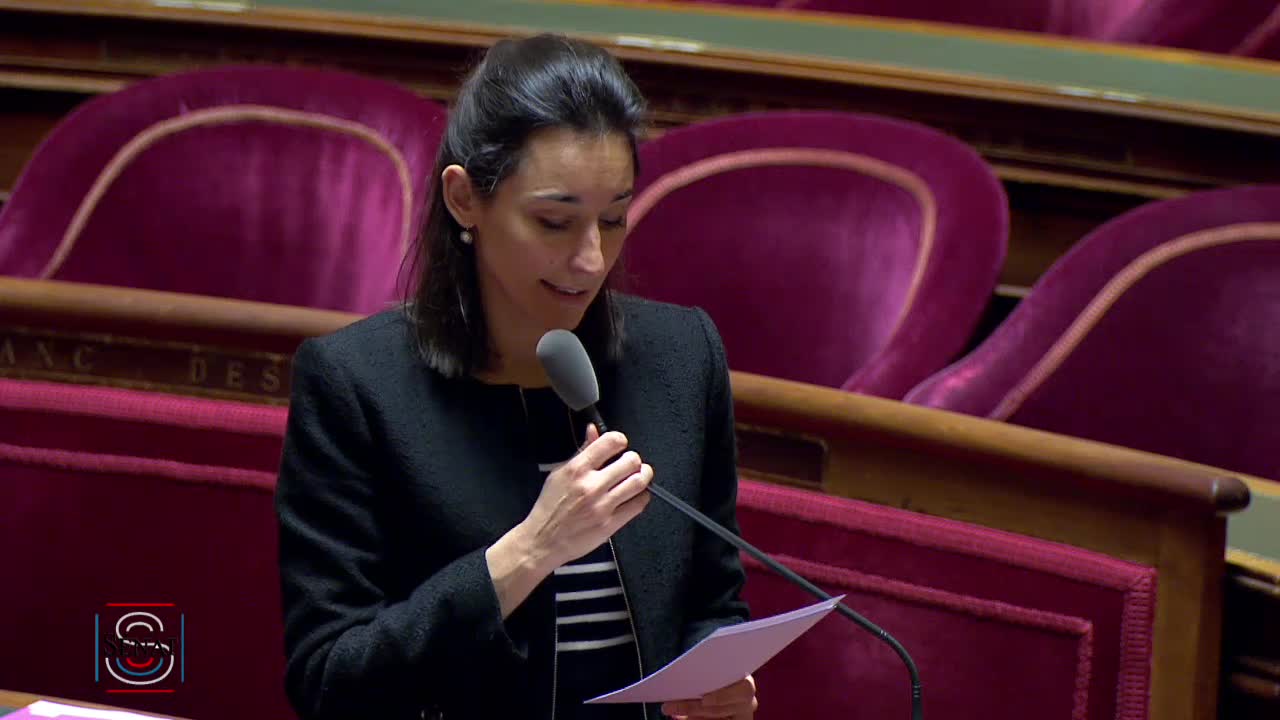 Séance publique du 12 février 2019 (matin)
