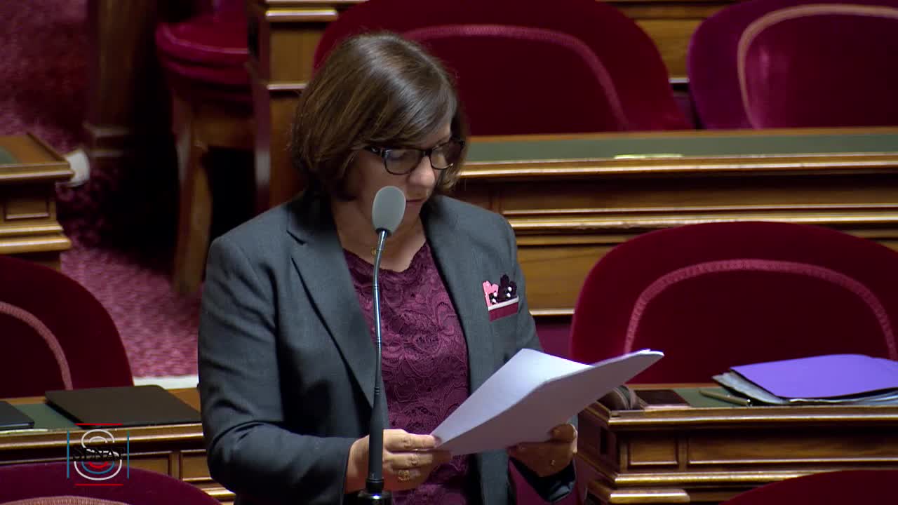 Séance publique du 12 février 2019 (matin)