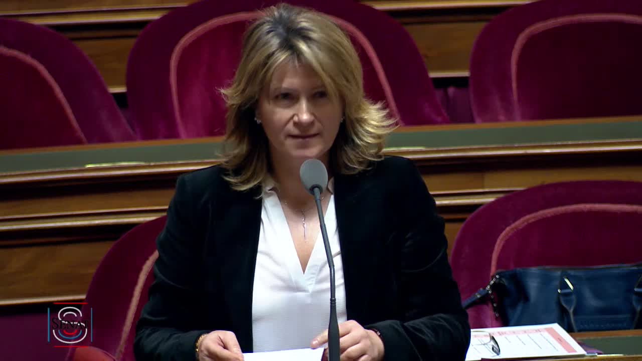 Séance publique du 12 février 2019 (matin)