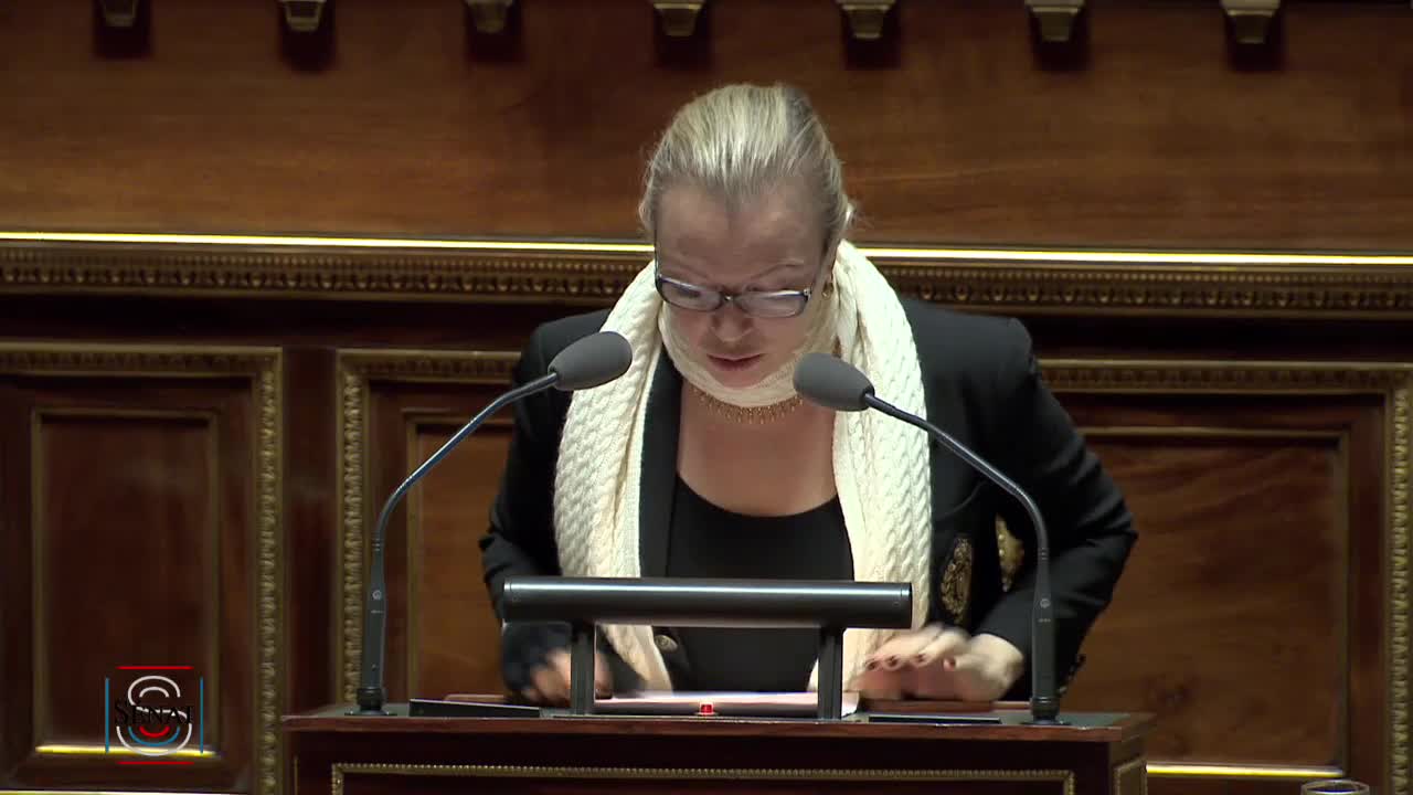 Séance publique du 12 février 2019 (après-midi)
