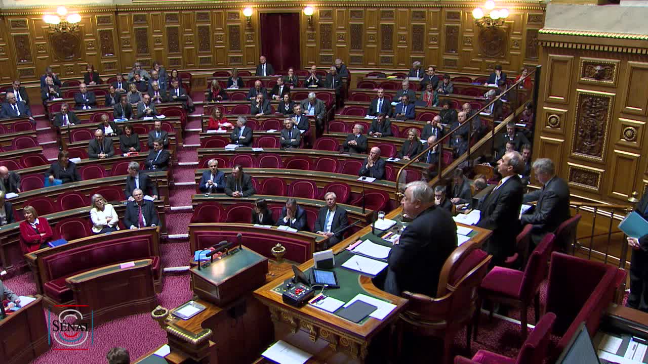 Séance publique du 12 février 2019 (après-midi)