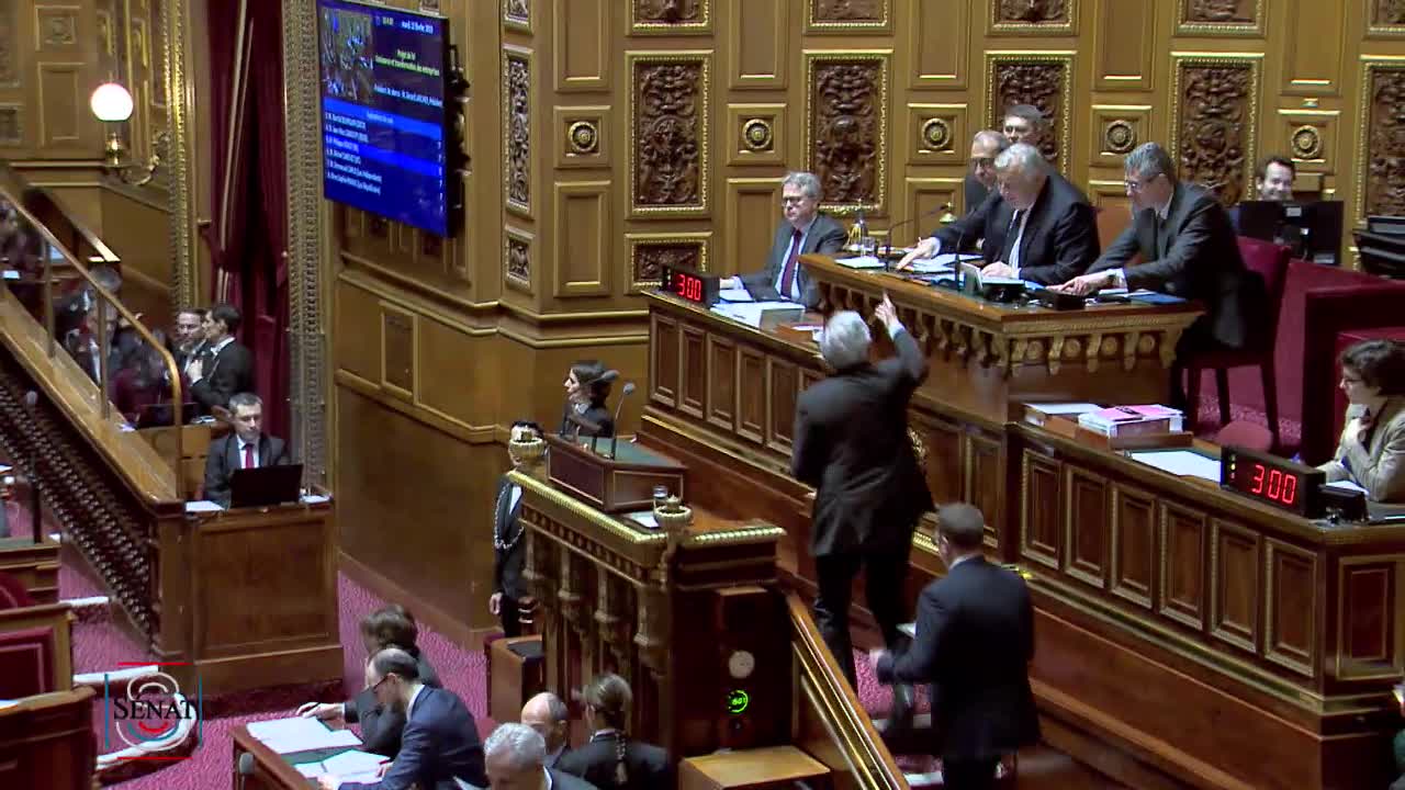 Séance publique du 12 février 2019 (après-midi)