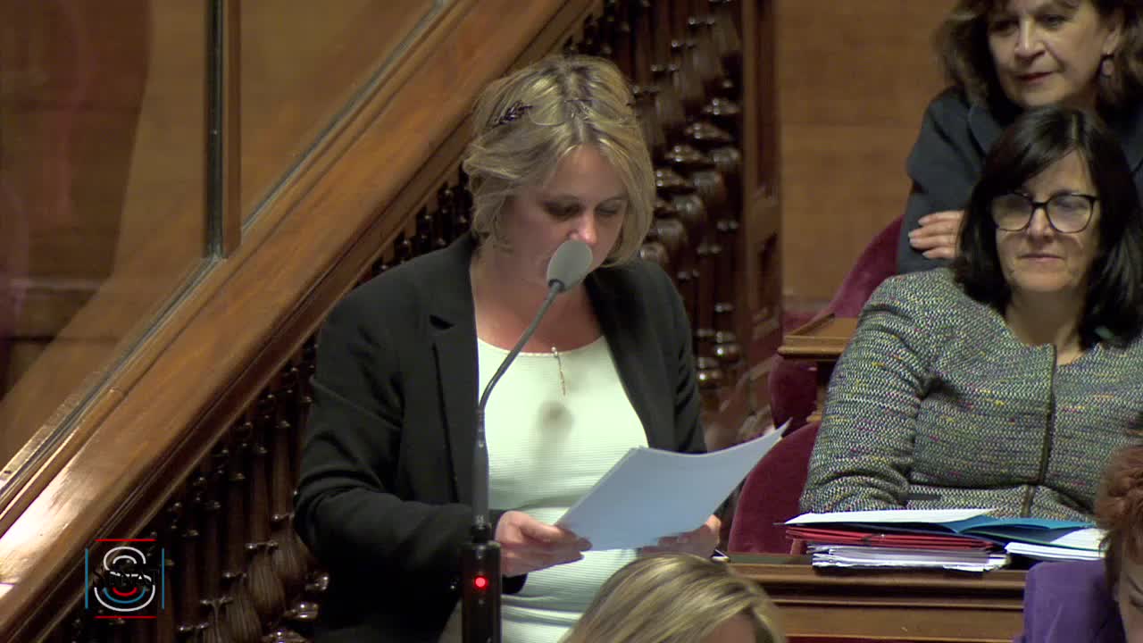 Séance publique du 12 février 2019 (soir)