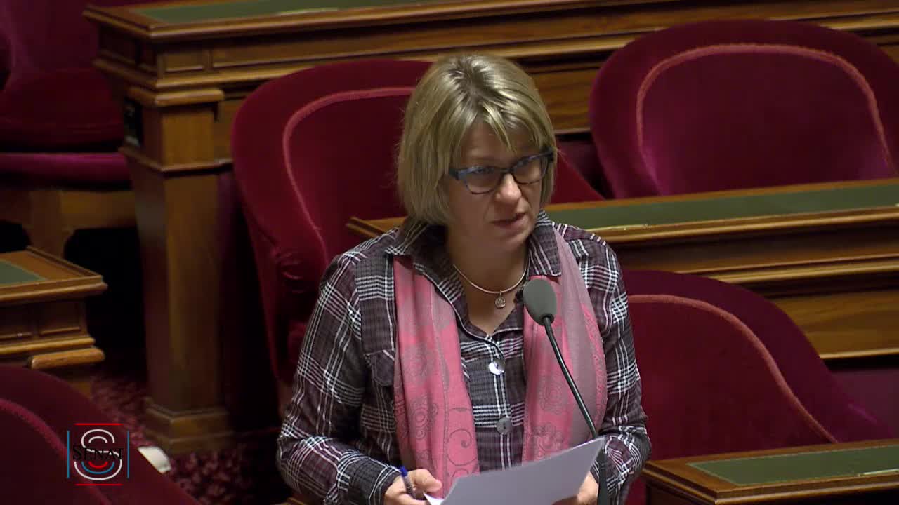 Séance publique du 12 février 2019 (soir)