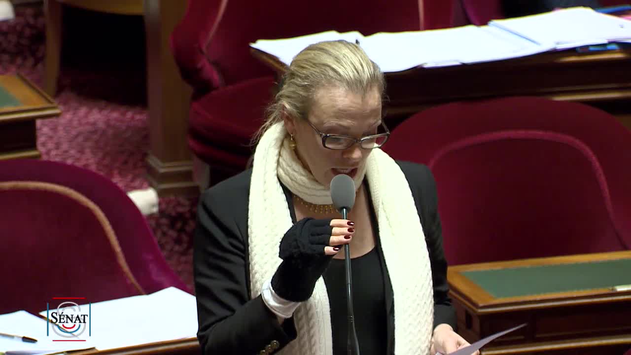 Séance publique du 12 février 2019 (soir)