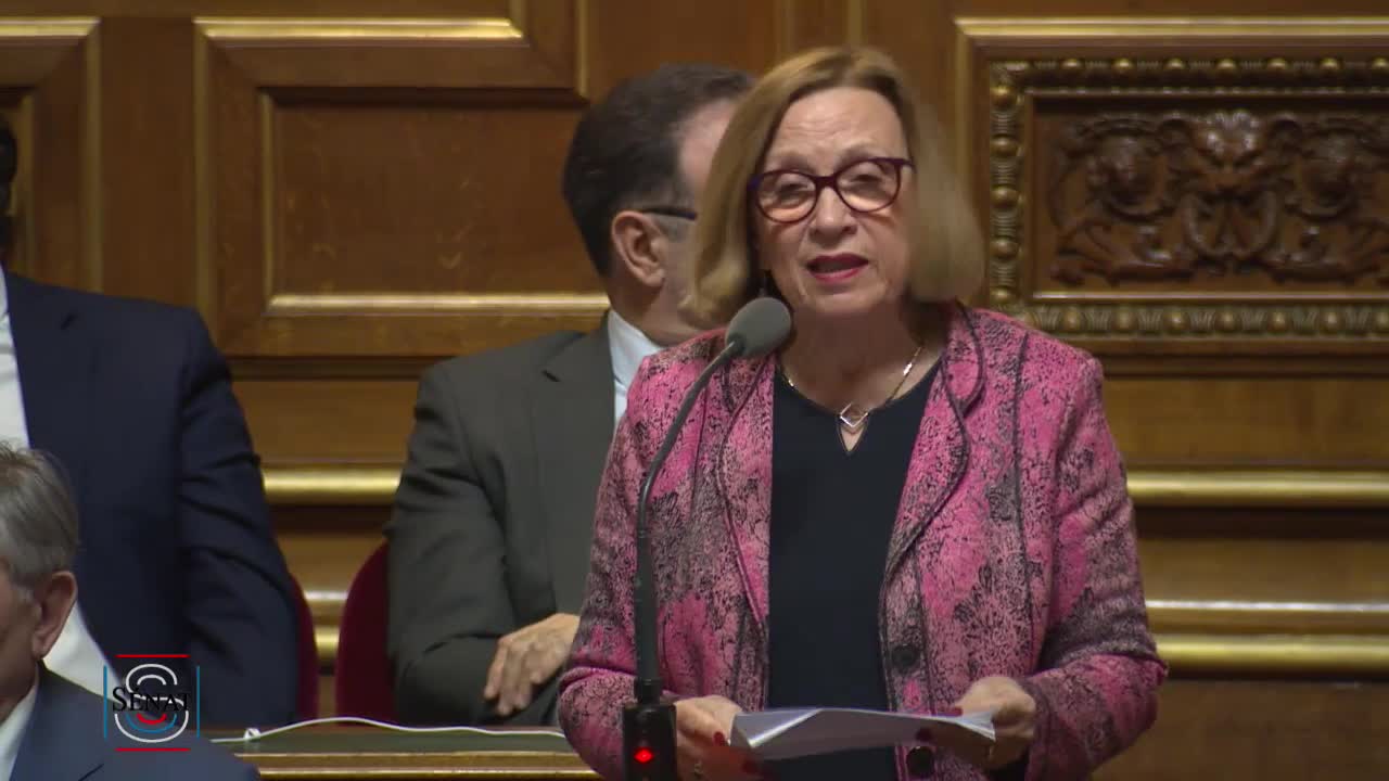 Séance publique du 19 février 2019 (après-midi)