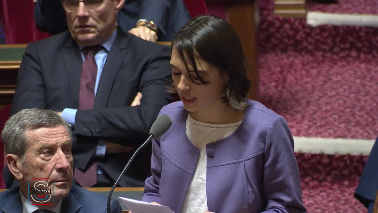 Séance publique du 19 février 2019 (après-midi)