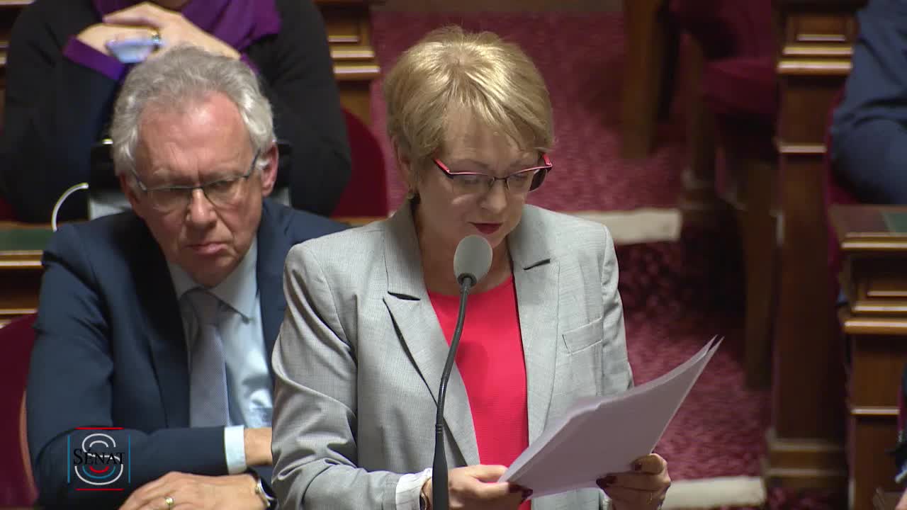Séance publique du 19 février 2019 (après-midi)