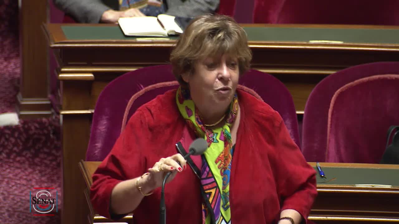 Séance publique du 20 février 2019 (après-midi)