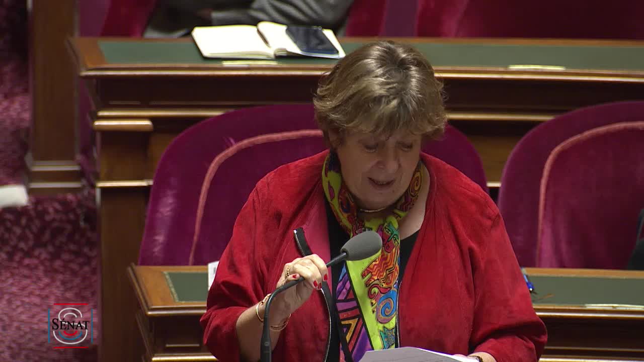 Séance publique du 20 février 2019 (après-midi)
