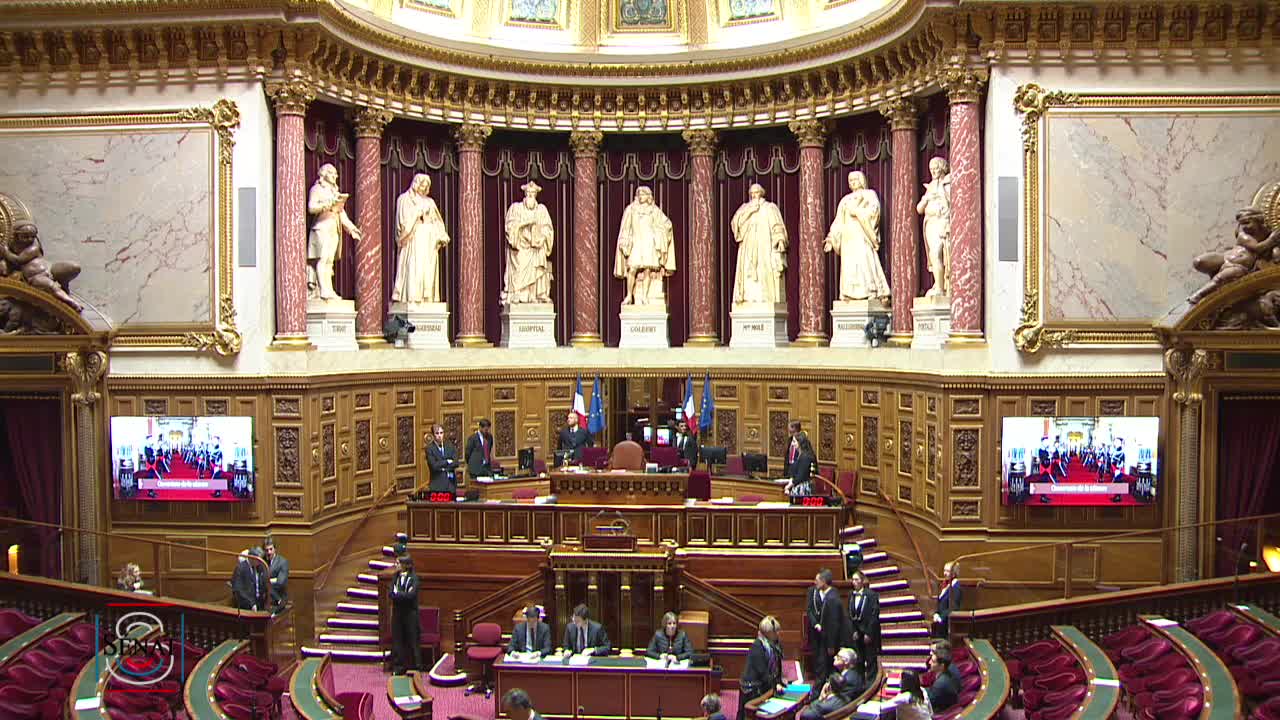 Séance publique du 20 février 2019 (après-midi)