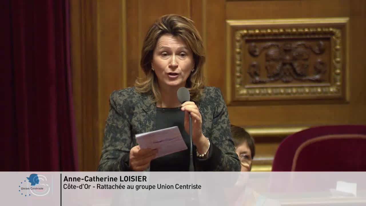 Séance publique du 20 février 2019 (après-midi)