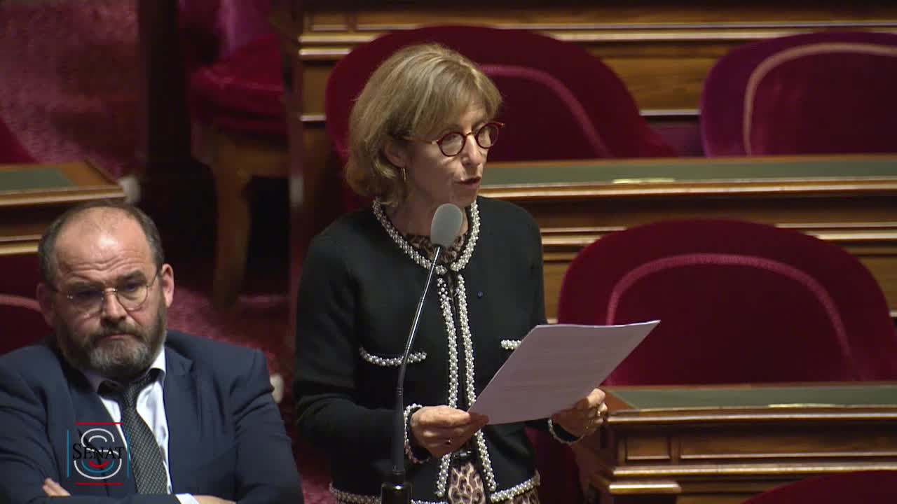 Séance publique du 20 février 2019 (après-midi)