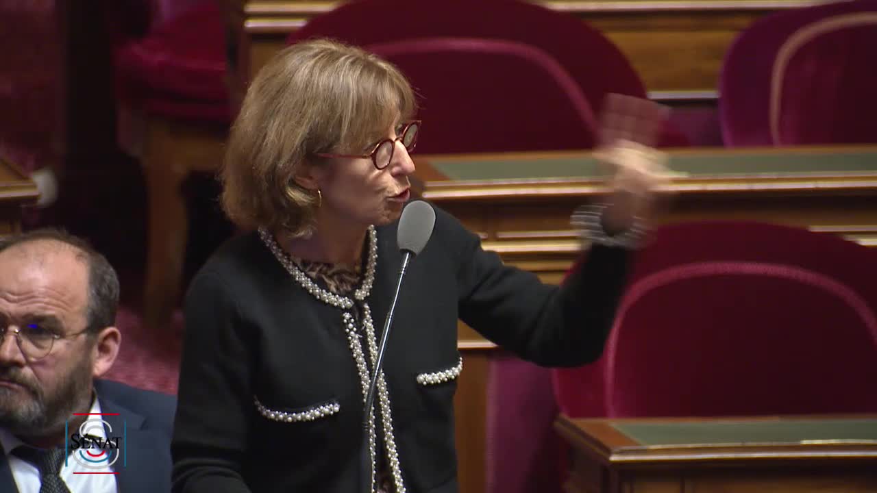 Séance publique du 20 février 2019 (après-midi)