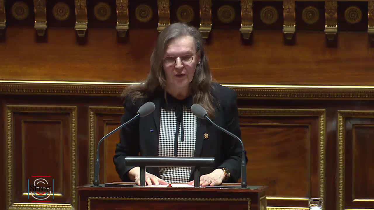 Séance publique du 20 février 2019 (après-midi)