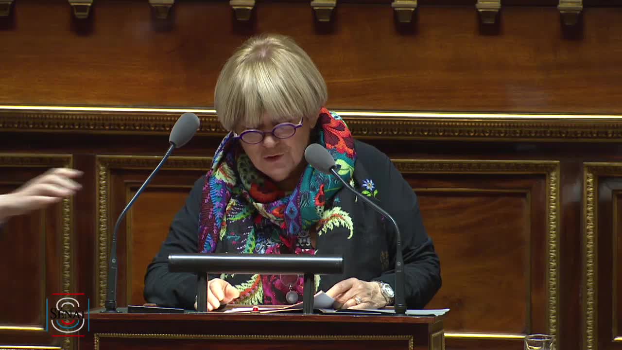 Séance publique du 20 février 2019 (après-midi)
