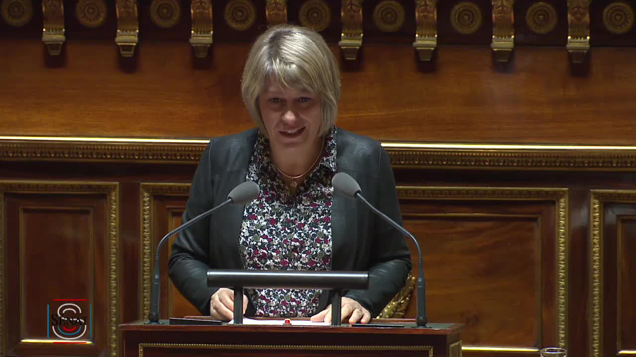 Séance publique du 20 février 2019 (après-midi)