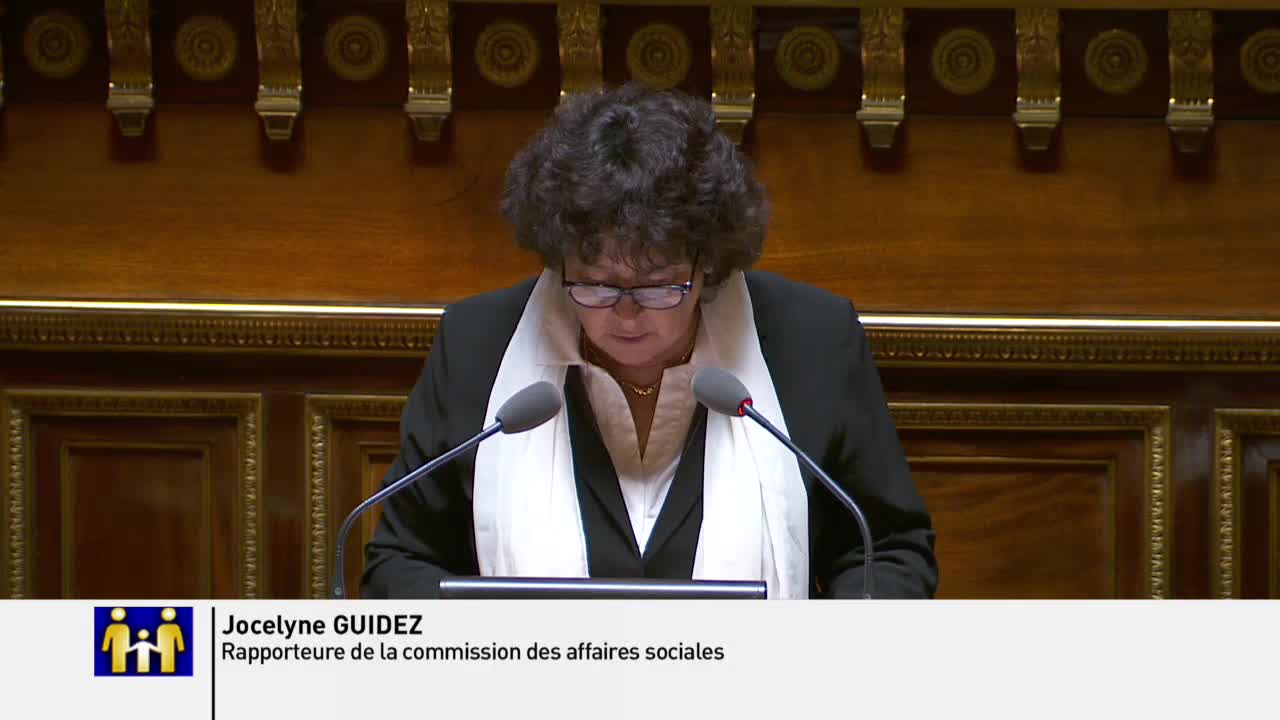 Séance publique du 21 février 2019 (après-midi)