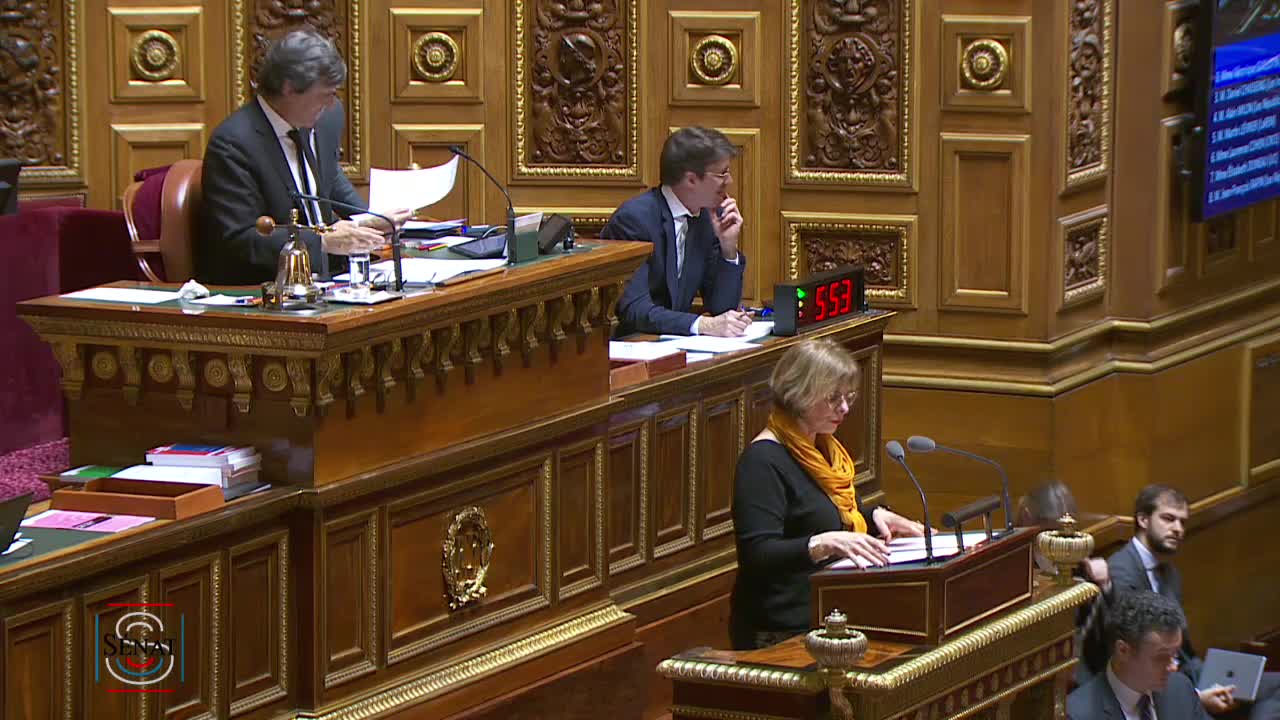 Séance publique du 21 février 2019 (après-midi)