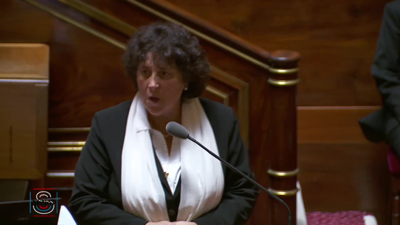 Séance publique du 21 février 2019 (après-midi)