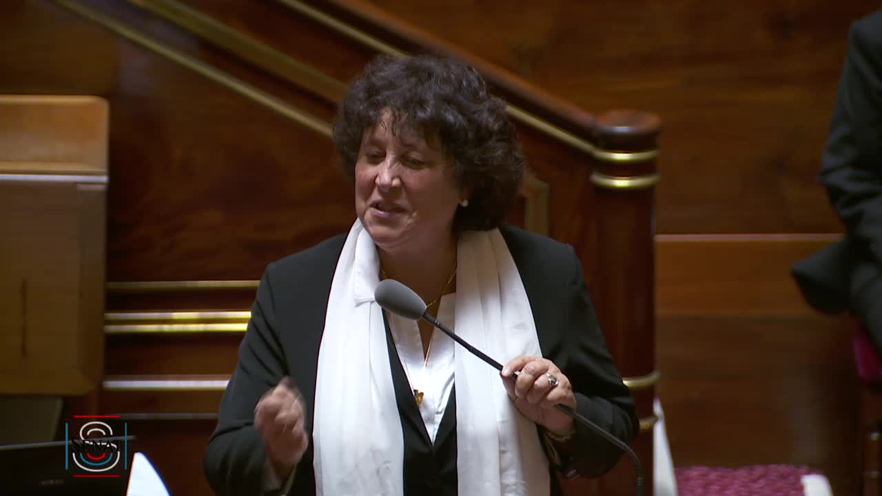 Séance publique du 21 février 2019 (après-midi)