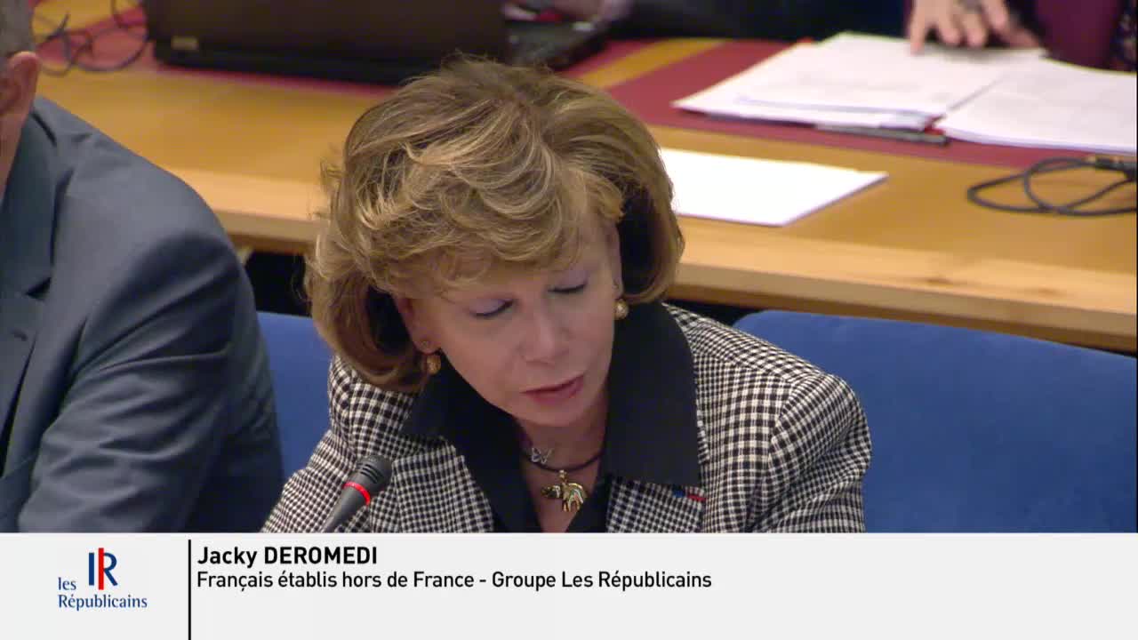Situation des Chrétiens d'Orient - Audition de M. Jean-Yves Le Drian, ministre de l'Europe et des affaires étrangères