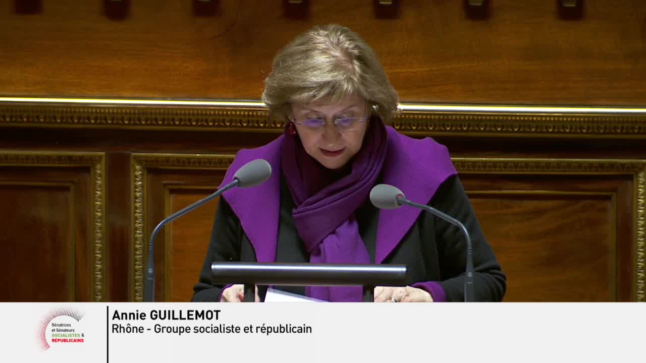Séance publique du 5 mars 2019 (après-midi)