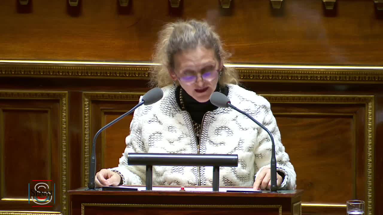 Séance publique du 5 mars 2019 (après-midi)