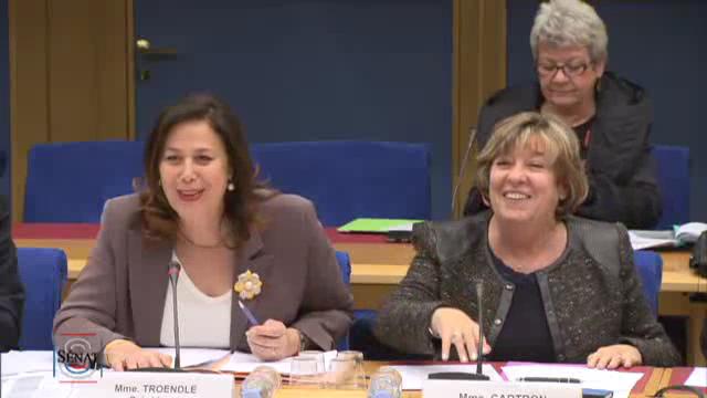 Mission commune d'information sur la réforme des rythmes scolaires