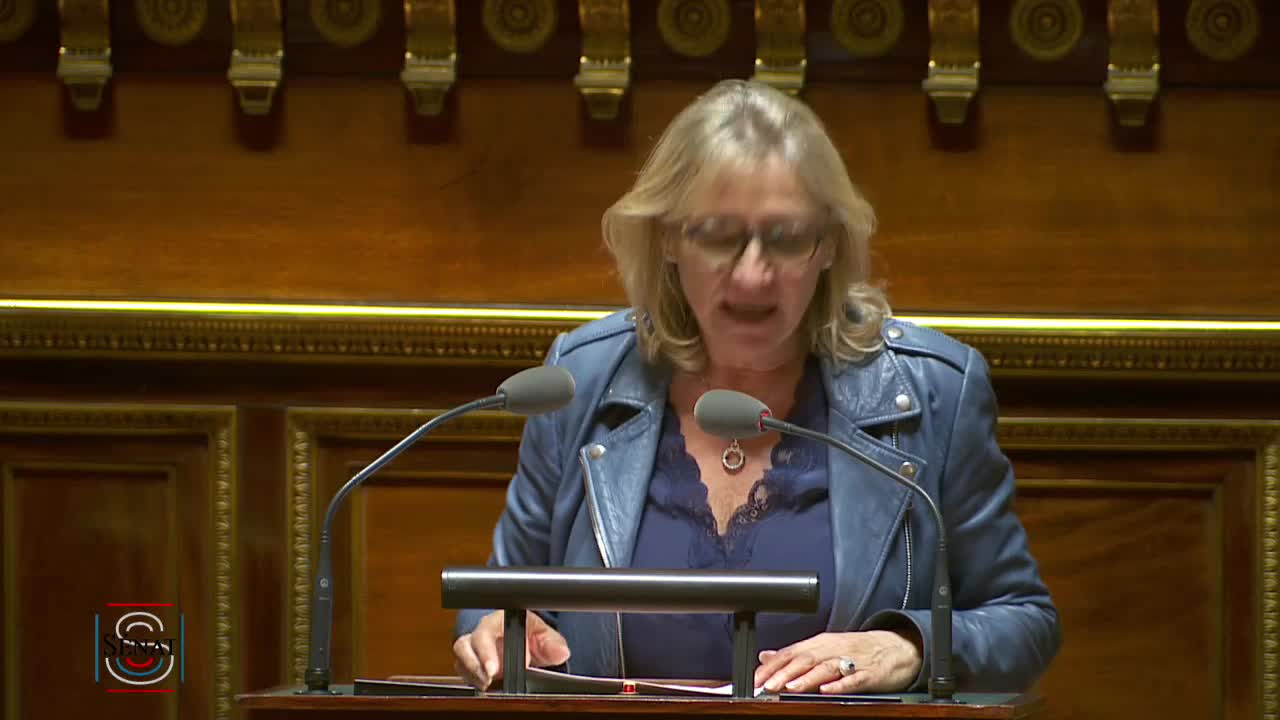 Séance publique du 6 mars 2019 (après-midi)