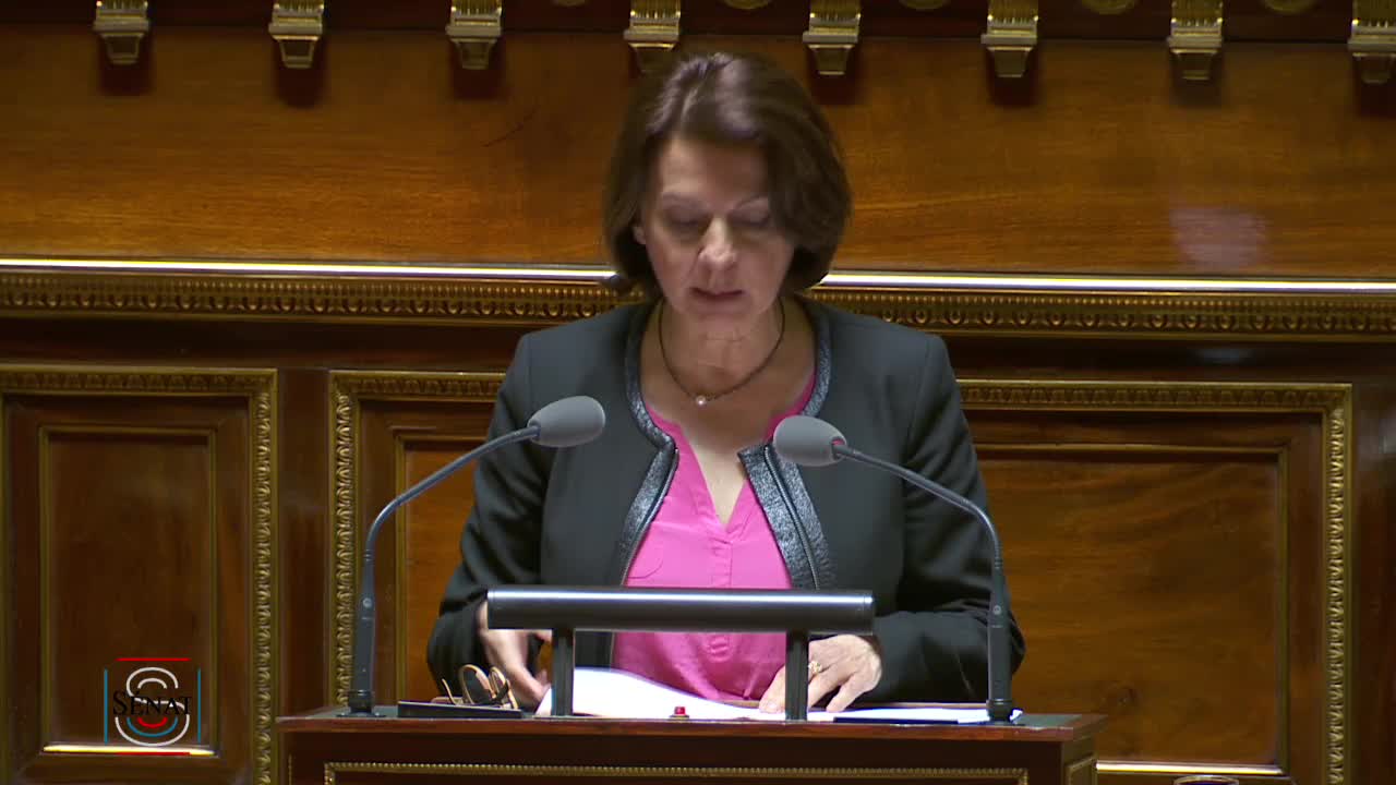 Séance publique du 6 mars 2019 (après-midi)