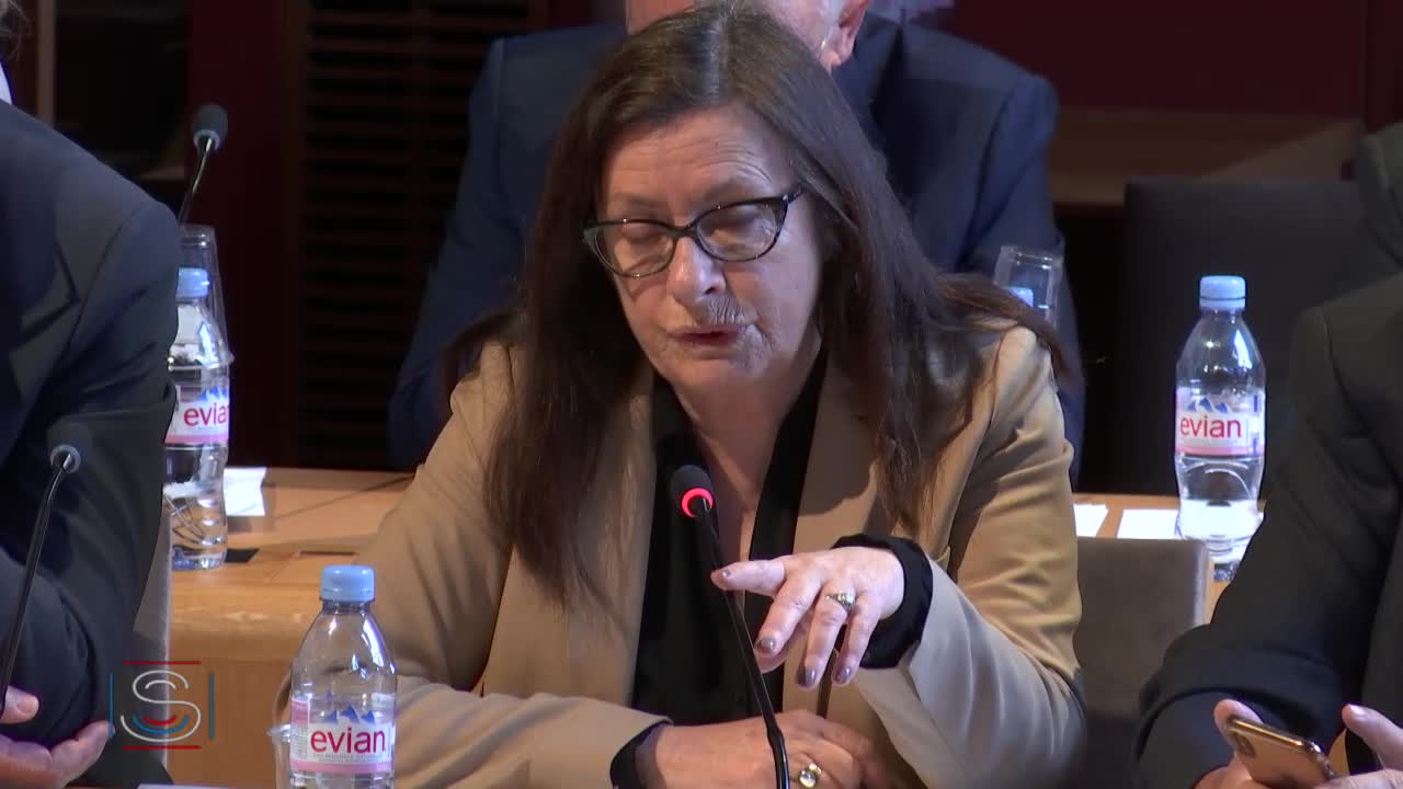 Audition conjointe d'ONG d'aide au développement dans la perspective de la future loi d'orientation et de programmation sur la solidarité internationale