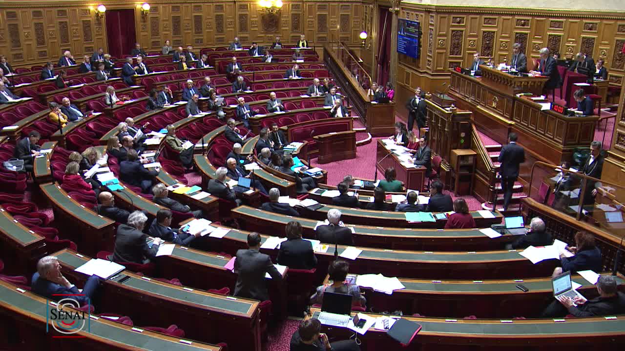 Séance publique du 12 mars 2019 (après-midi)