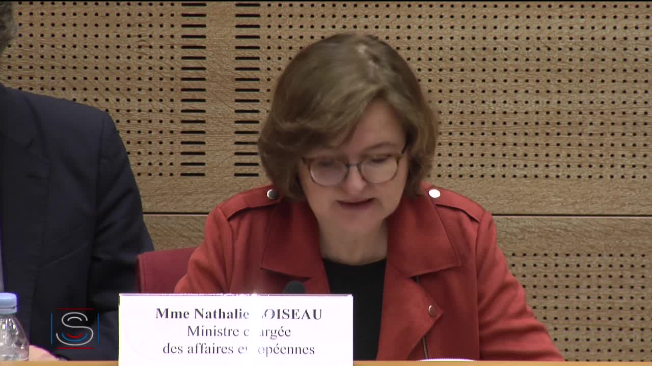 Débat préalable au Conseil européen en présence de Mme Nathalie Loiseau, ministre chargée des affaires européennes