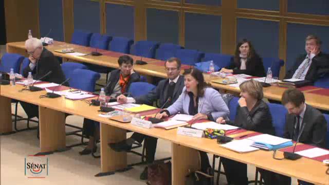 Mission commune d'information sur la réforme des rythmes scolaires