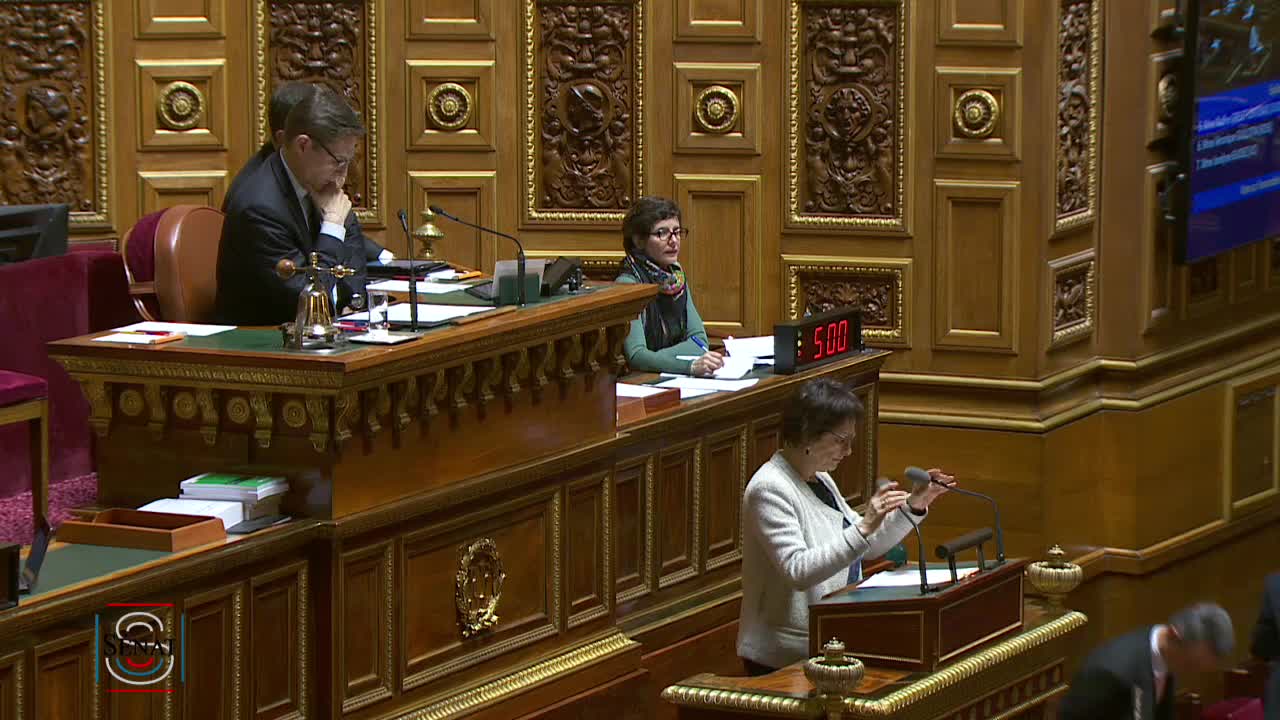 Séance publique du 13 mars 2019 (après-midi)