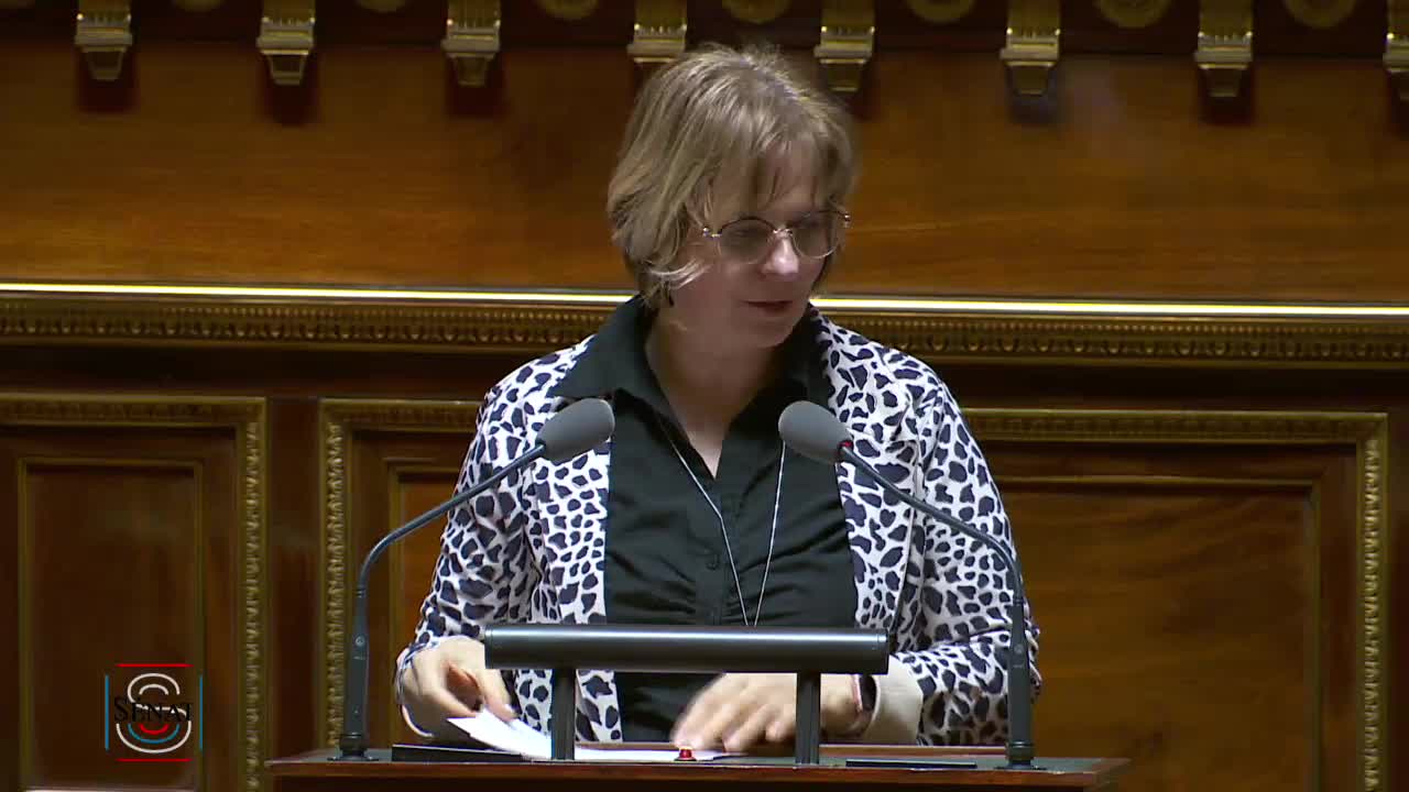 Séance publique du 13 mars 2019 (après-midi)